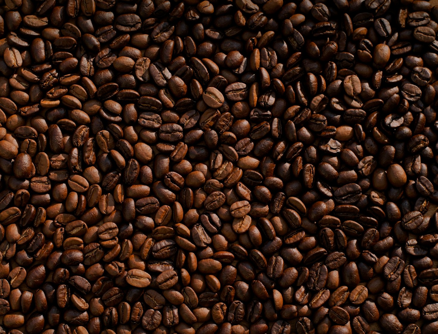 Top Five Cocoa Brands For True Connoisseurs